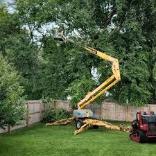 Best Seasonal Cleanup (Spring/Fall)  in Fayette, IA