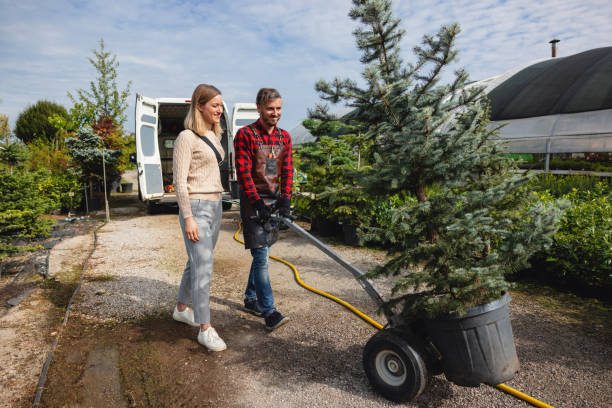 Seasonal Cleanup (Spring/Fall) in Fayette, IA