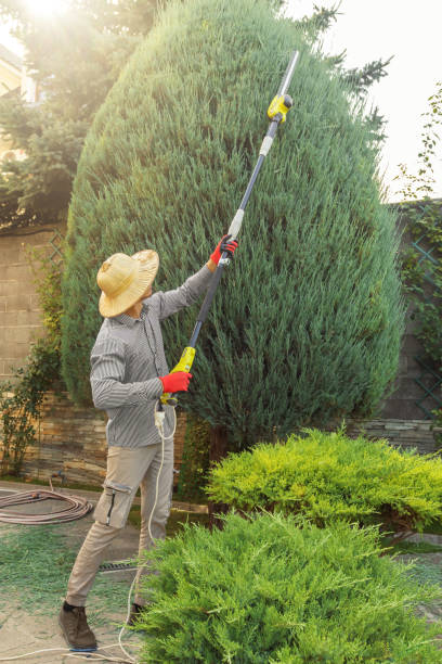 Best Commercial Tree Services  in Fayette, IA